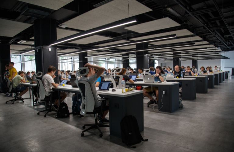 Employees working at their desks